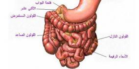 حقيقة علمية جديدة.. المرأة أكثر معاناة من انتفاخات المعدة من الرجل
