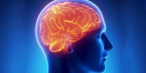 علماء: الفقر يؤثر في حجم الدماغ