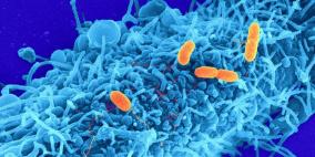 دواء للوقاية من مرض الايدز يحمي أيضا من عدوى الهربس