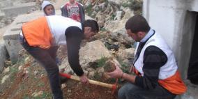 الخليل: زراعة 500 شجرة حرجية في مخيم العروب