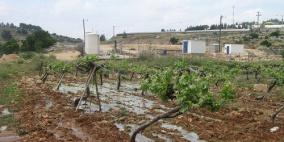 الزراعة تستصلح 1300 دونم جنوب الضفة