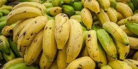 باحثون: الموز تم تحسينه على مر 7000 سنة