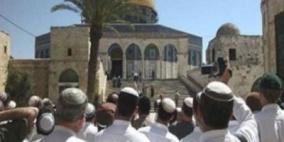 ٣٥٠ مستوطنا يقتحمون ويدنسون الاقصى