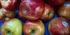 التفاح يحتوي على مادة حارقة للدهون