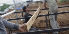 الدفيئات الزراعية وطريقة صنعها