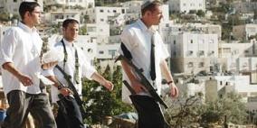 مستوطنون يطلقون خيولا في أراض جنوب بيت لحم