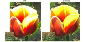 سامسونج تعلن عن حساس ISOCELL لكاميرات الهواتف والحواسب اللوحية