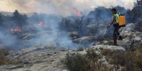 الاحتلال يتسبب في اشتعال النيران في اراضي جنوب بيت لحم