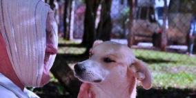 الكلب الذي انتظر صاحبه 8 أيام عند باب المستشفى