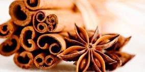 القرفة تساعد في الوقاية من مرض باركنسون