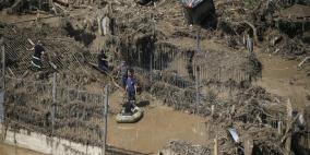 أسد هارب من حديقة الحيوانات يقتل رجلا في جورجيا