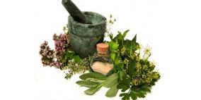 أعشاب طبيعية رغم مرارتها لكنها تعالج أمراضا كثيرة