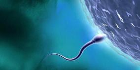 اكتشاف مذهل.. "خلق حيوانات منوية" من الجلد