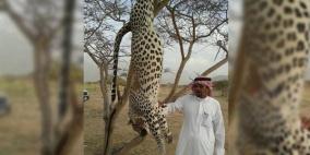 مقتل نمر عربي في مكة المكرمة وبيع جثته