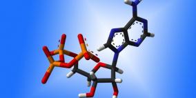 جزيئات ATP قد تساعد في استهداف الخلايا السرطانية