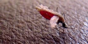 عقار جديد للملاريا يحظى بموافقة أوروبية