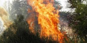 اندلاع حريق في احراش واد القف غرب الخليل