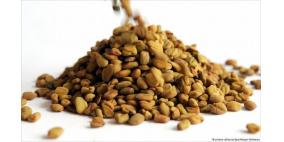 الحلبة لفتح الشهية وفوائد محتملة أخرى