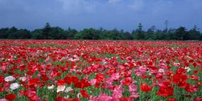 حالـــة الطقـــــــــس