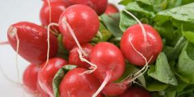 تناول الفجل يساعد في الوقاية من السرطان