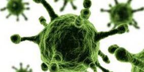 علماء يجدون جينًا يربط بين الذكاء والمادة السنجابية بالدماغ