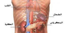 "الكرفس والخرشوف" أحدث أسلحة الطبيعة لعلاج سرطان البنكرياس القاتل