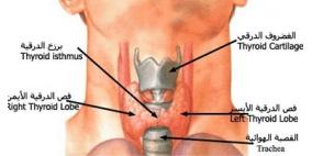 خلل الغدة الدرقية يسبب ارتفاع وفيات مرضى السكر أثناء الغسيل الكلوي