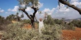 محافظة نابلس واطباء حقوق الانسان  ينظمون يوما  طبيا مجانيا في قرية قصره