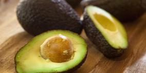 دُهن الأفوكادو..سلاح مدمر لخلايا سرطان الدم الجذعية