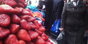 اجواء مدينة الخليل 20/2/2013