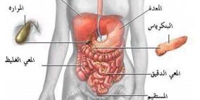 بالونة المعدة أحدث وسيلة لإنقاص الوزن بدون اللجوء للجراحة أو الأدوية