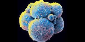 العلاج المعجزة: تحويل جلد الإنسان إلى خلايا جذعية