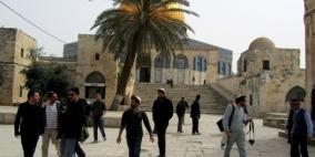 مستوطنون يقتحمون الأقصى وسط إغلاقه أمام المصلين