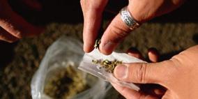 مواطن من جنين يسلم الشرطة مواد مخدرة