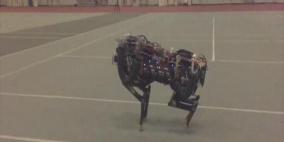 Cheetah Robot يقفز فوق الحواجز بدقة عالية