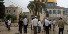 الاحتلال يعتقل مواطنا بالقرب من المسجد الأقصى