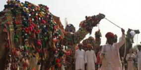 بالصور.. مسابقة "جَمَال" للإبل فى صحراء الهند