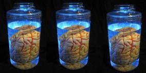 العثور على أدمغة مسروقة في قرية أمريكية