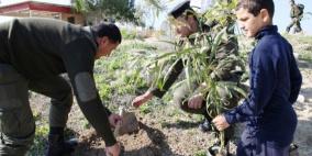 جنين: تخضير فلسطين بسواعد الأمن الوطني الفلسطيني