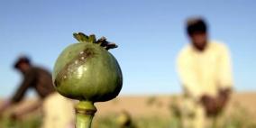 التوصل لإنتاج مورفين من الخميرة من دون استخدام الأفيون