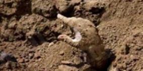 طفلة تعود إلى الحياة بعد اغتصابها ودفنها