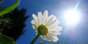 الطقس: اجواء حارة نسبيا
