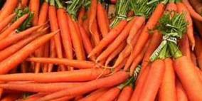 دراسة: بذور الكتان والجزر تضمن نضارة الجلد