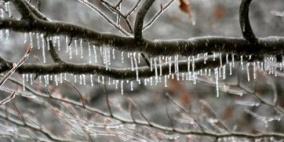 الطقس: ارتفاع على الحرارة والجو يبقى شديد البرودة