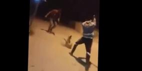 توقيف متهمين قتلوا كلبا بطريقة وحشية جنوب غزة