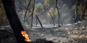 حرائق 2016 ليست صدفة.. وقد تتعاظم مع مرور الزمن