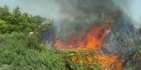 حريق كبير غرب القدس