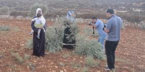 زراعة نابلس تتفقد الاضرار الناتجة عن اعتداءات المستوطنين الاخيرة