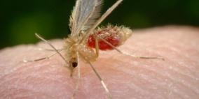 من هم الأشخاص الأكثر  تعرضا للدغات البعوض؟