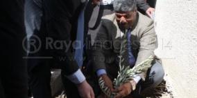 إحياء يوم الشجرة في دير جرير شرق رام الله